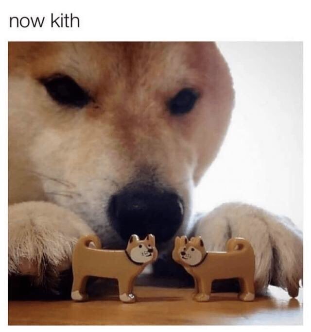 “Now kith”

Old TFF uppies pics 🐶

🐴:<a href="/Cal_the_Horse/">CalTheHorse</a> 
📸:<a href="/ajtexasranger/">AJ</a>
