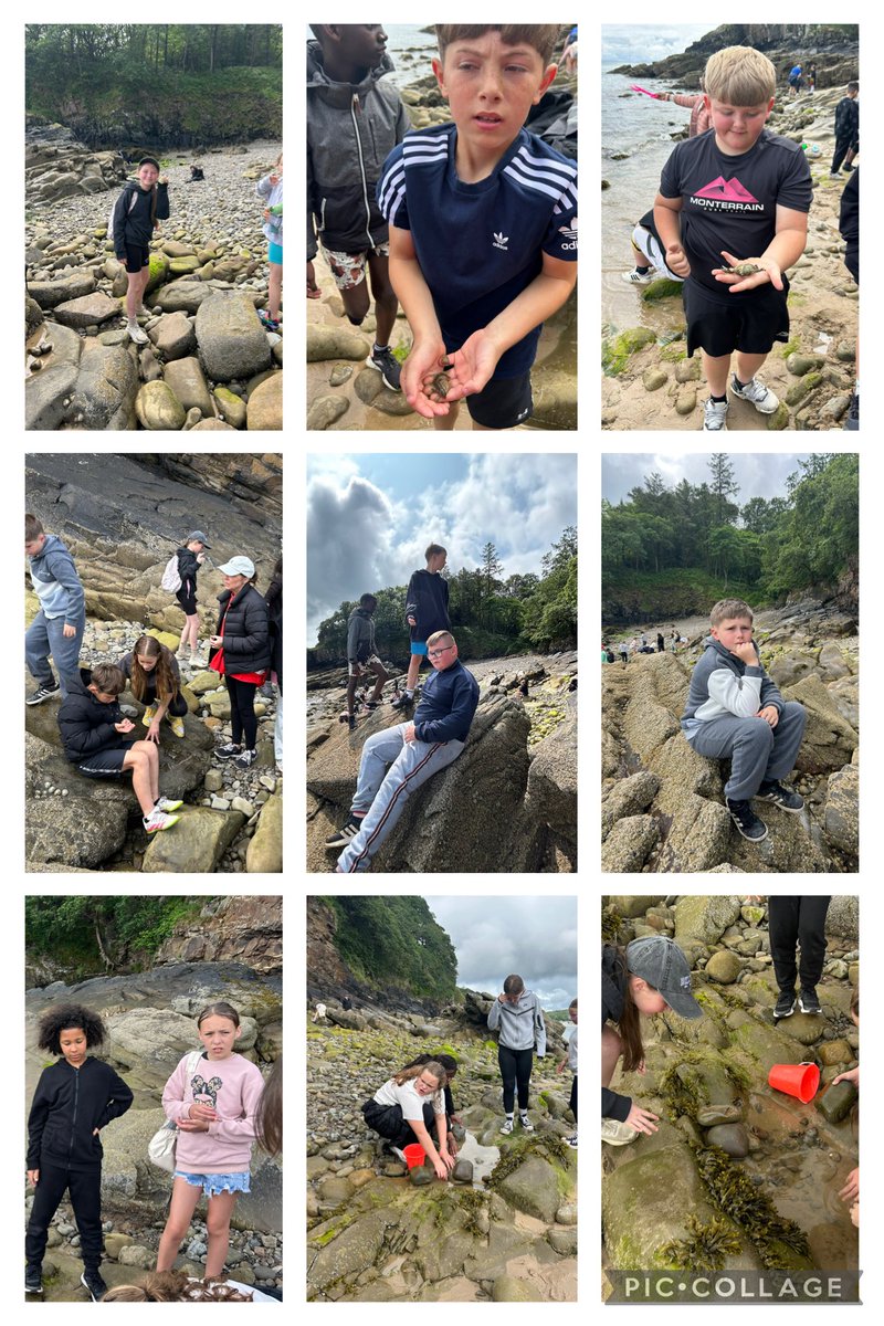 Fun at the beach this morning. Look at what we found 🦀 🐟