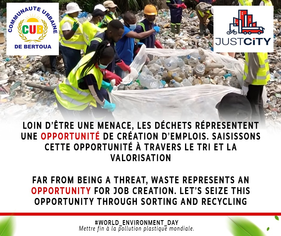 FES Kamerun tweet media