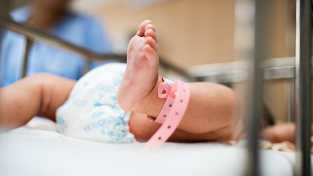 👶Poc ens podíem imaginar tot el que experimenta un nadó durant les seves primeres 24 hores de vida!!! I que potser no es tornarà a repetir...

👉Ens ho han explicat <a href="/PepePediatre/">Pepe Serrano #Vacúnate 🙏</a> i <a href="/4kidscare/">4kidscare</a> 

#ConsultaalPediatre  #salutinfantil

▶️rtve.es/play/audios/ll…