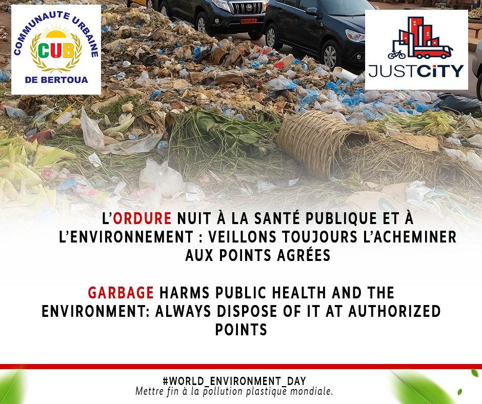 FES Kamerun tweet media