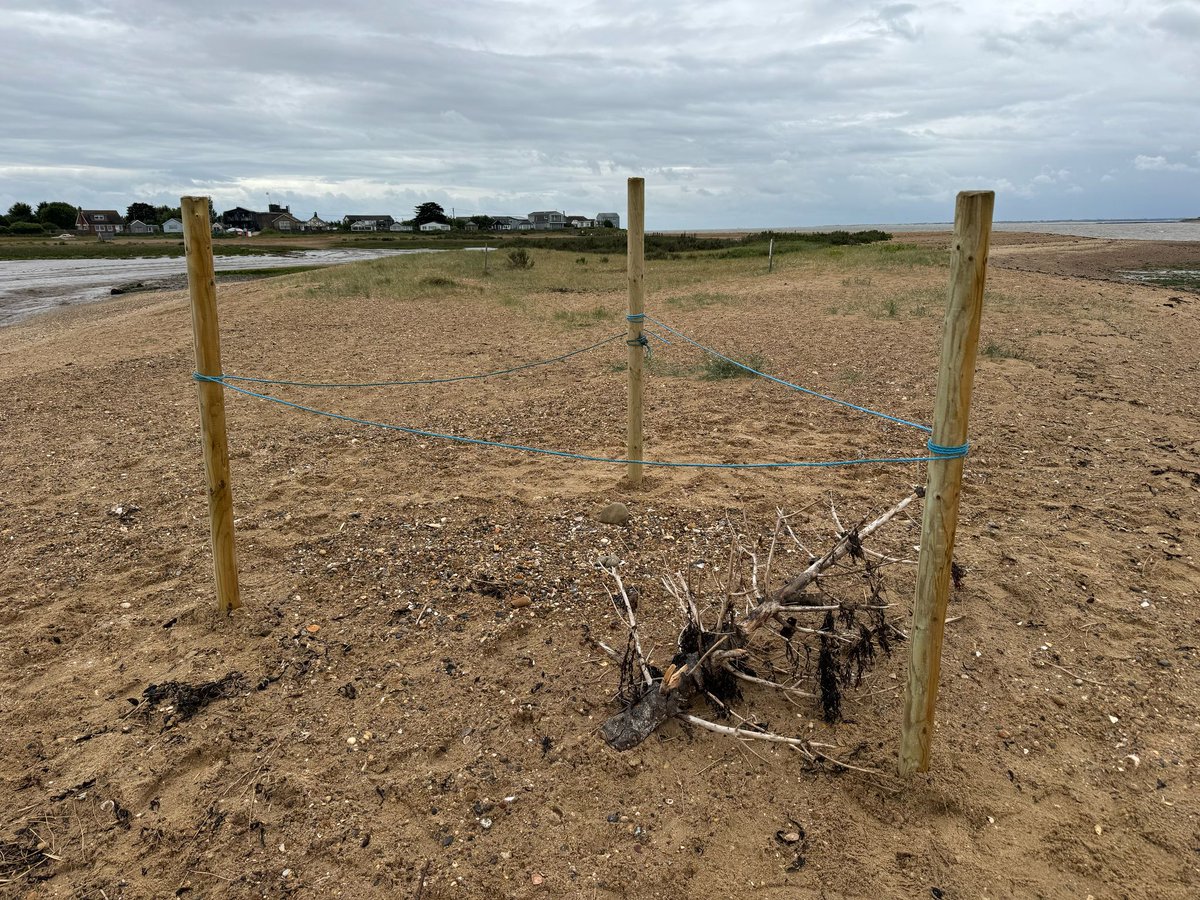 We would like to give a huge shout out to Haven Orchards Holiday Village, St Osyth, for their support today 🙌 

Their team helped our rangers protect a dedicated oystercatcher who had decided to nest near to their site. Thank you 😁

#OrchardsHolidayVillage #shareourshores