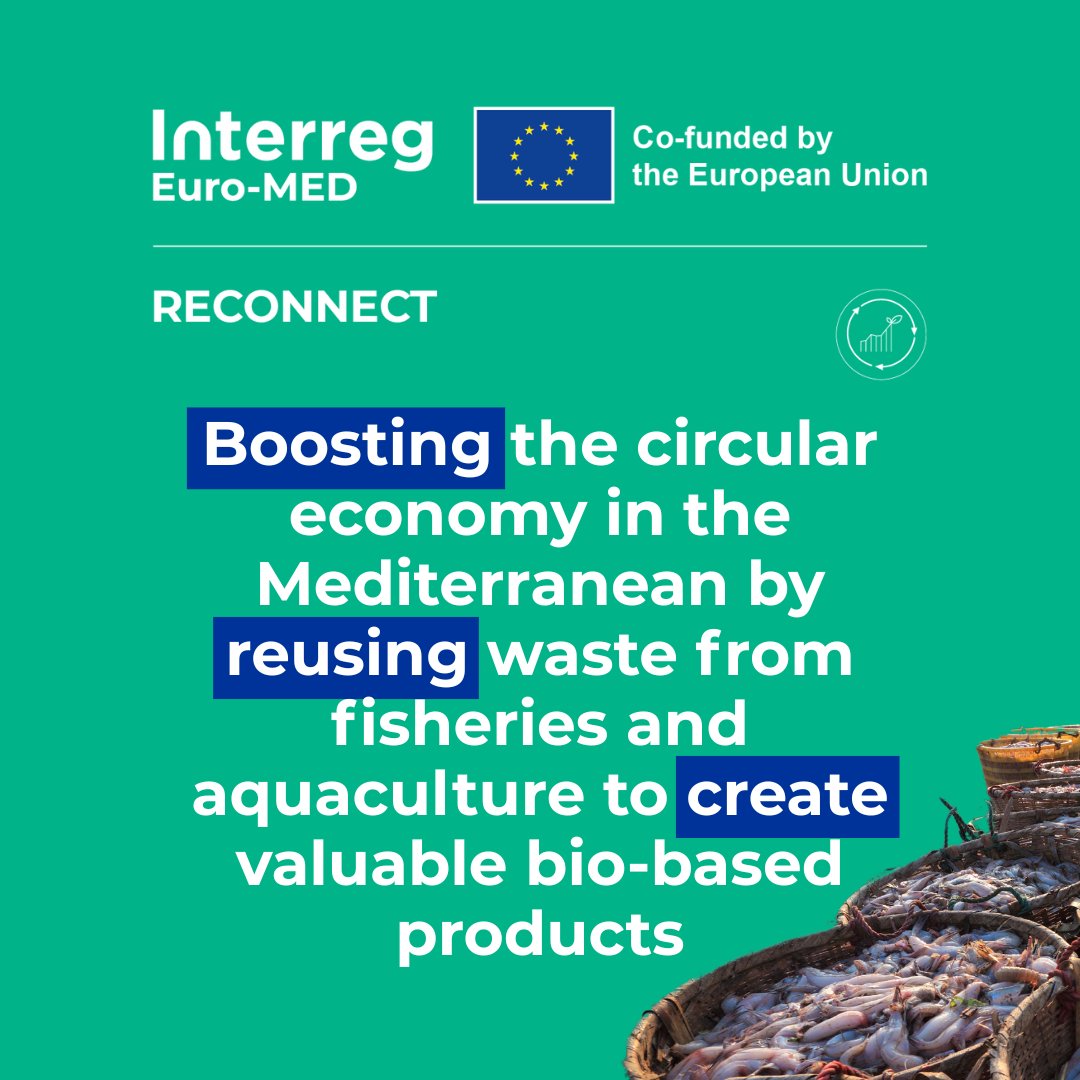 Interreg Euro-MED Programme (@interregeuromed) on Twitter photo ๐ ๐๐จ๐ซ๐ฅ๐ ๐๐ง๐ฏ๐ข๐ซ๐จ๐ง๐ฆ๐๐ง๐ญ ๐๐๐ฒ ๐๐๐๐ย #BeatPlasticPollution ๐ฑ
At ๐๐ง๐ญ๐๐ซ๐ซ๐๐ ๐๐ฎ๐ซ๐จ-๐๐๐, we believe that environmental preservation is not just a choice, it's a responsibility.
โจ ๐๐ญ๐๐ฒ ๐ญ๐ฎ๐ง๐๐ to discover more about the impact of our projects! ๐ ๐๐จ๐ซ๐ฅ๐ ๐๐ง๐ฏ๐ข๐ซ๐จ๐ง๐ฆ๐๐ง๐ญ ๐๐๐ฒ ๐๐๐๐ย #BeatPlasticPollution ๐ฑ
At ๐๐ง๐ญ๐๐ซ๐ซ๐๐ ๐๐ฎ๐ซ๐จ-๐๐๐, we believe that environmental preservation is not just a choice, it's a responsibility.
โจ ๐๐ญ๐๐ฒ ๐ญ๐ฎ๐ง๐๐ to discover more about the impact of our projects!