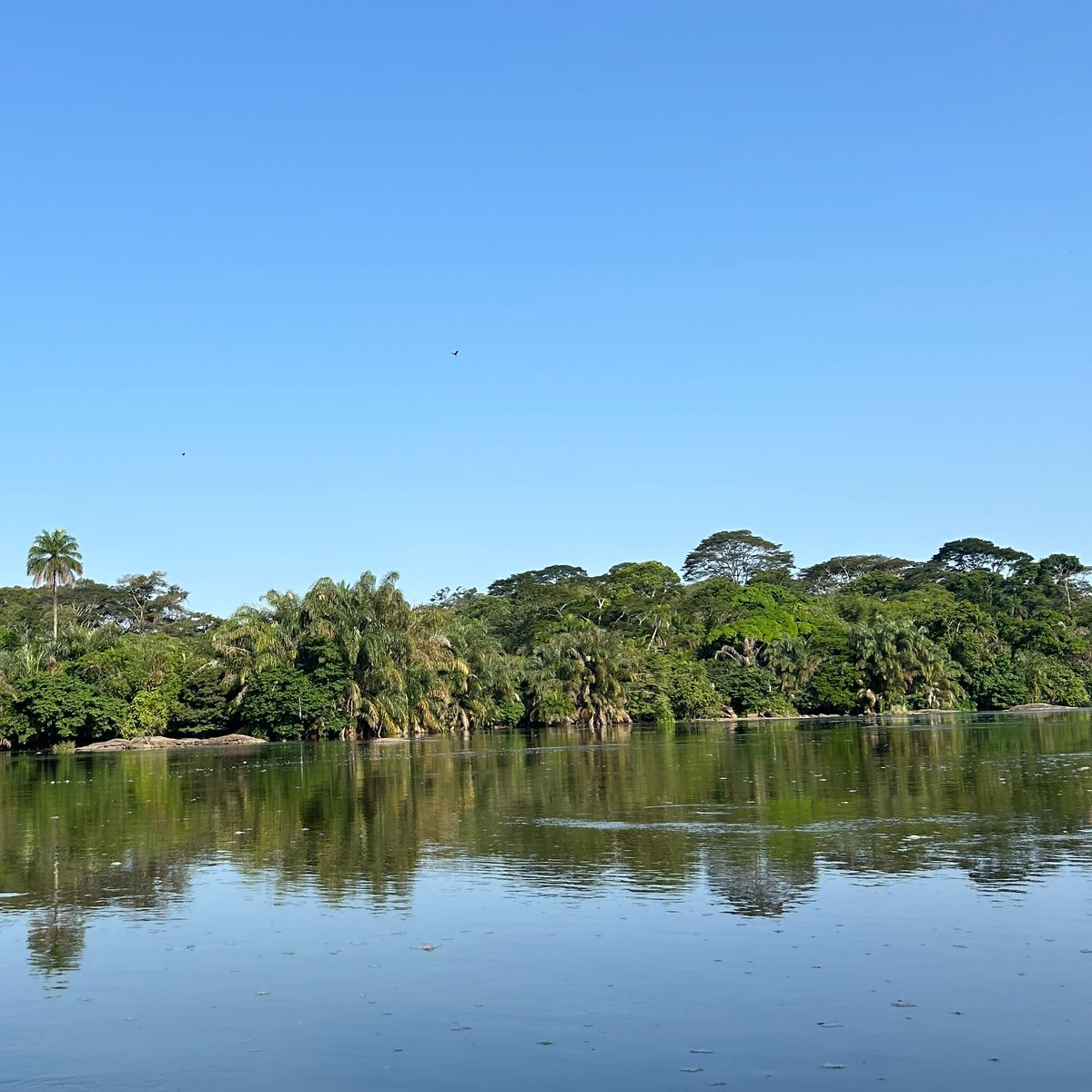 IrlEmbFreetown's tweet image. On #WorldEnvironmentDay, Ireland reaffirms its commitment to tackling climate change and promoting environmental sustainability in 🇸🇱
Our Mission Strategy 2024-2028 embeds #ClimateAction across our programmes as we work toward a greener, more resilient future for all.