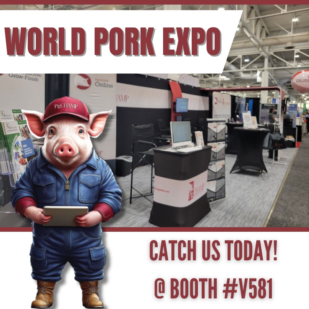 The final day of PigCHAMP at <a href="/NPPCWPX/">World Pork Expo</a>!

Visit booth # V581 for your chance to hear about how PigCHAMP software can benefit YOU.

New and returning clients will also be entered to win 25% off either your first year or your next renewal!

#WPX25 <a href="/NPPC/">NPPC</a>