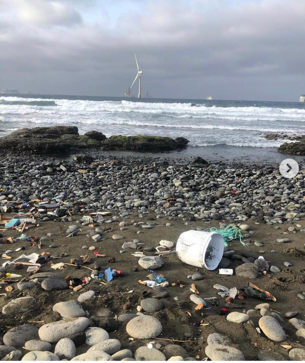 Fundación  Acuorum tweet media