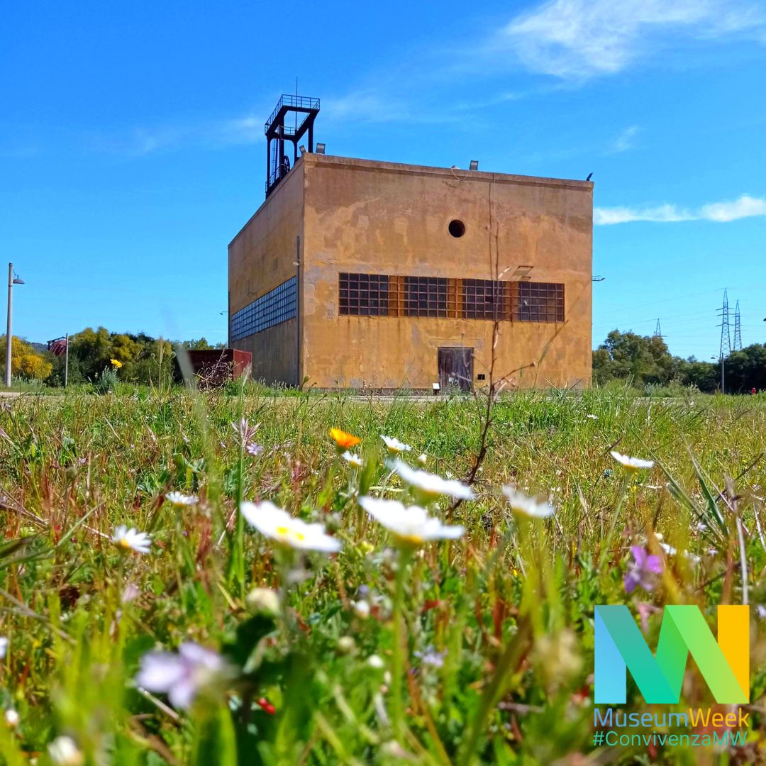 MuseodelCarbone's tweet photo. #MuseumWeek #ConvivenzaMW
A proposito: oggi è il #WorldEnvironmentDay, ovvero la #GiornataMondialedellAmbiente
Voi come contribuite alla sua salvaguardia?
#TogethernessMW #MW25 #MuseumWeek2025 #MuseumWeek25 #museodelcarbone #minieraserbariu #carbonia @MuseumWeek https://t.co/QVWi8uhCx4