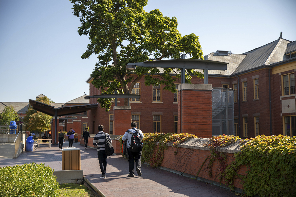 Do you love movies? If so, you might want to check out the inaugural Current Cut Film Festival that’s taking place at @humberpoly’s @humberlakeshore campus.

Read more in Humber Today: bit.ly/4dTBUl8