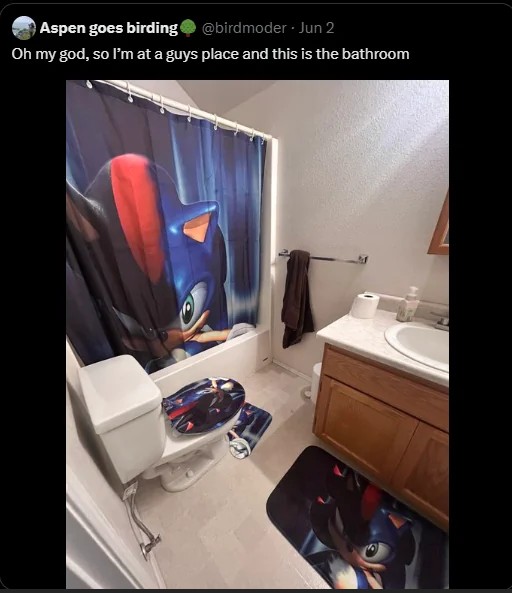 Ffs why are people mocking my bathroom? $S