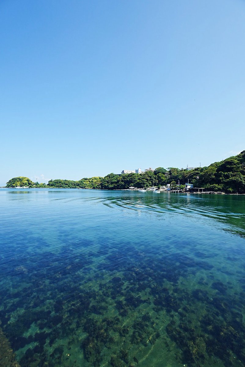今日の諸磯湾の風景。
リアス式の入り江なので、水面はピタッとして海底がよく見えます。

#油壺 #三浦市