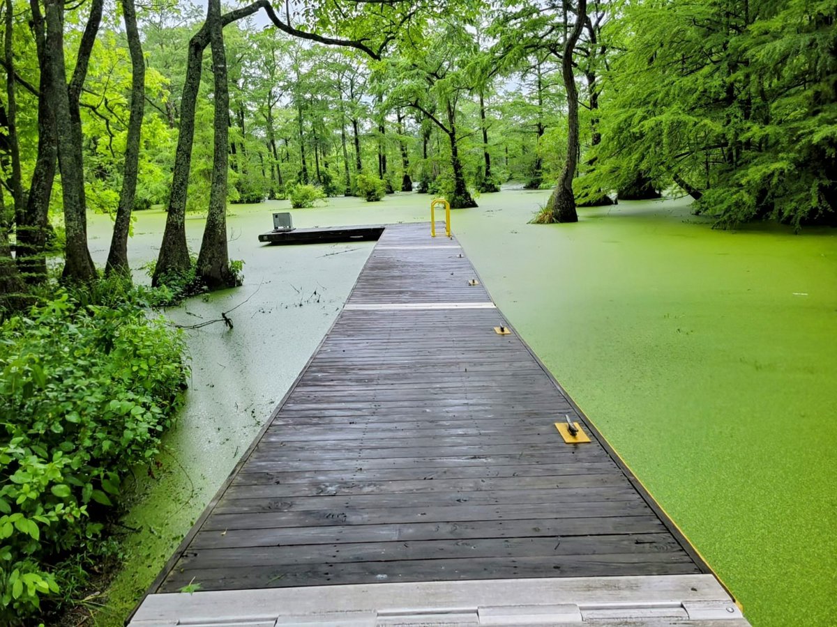 mukeshshah29's tweet image. Share your photos of paths!
#TeamPixel
#Mukeshgooglepixelsnap
#pixel5
#madebygoogle