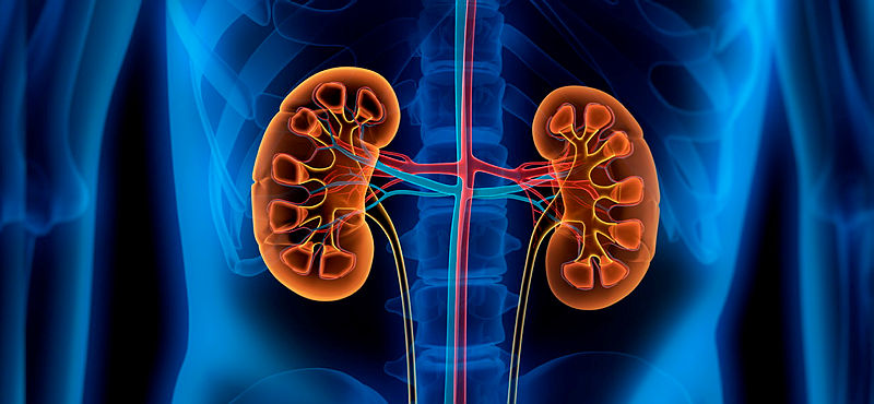 ISRCTN: the UK's Clinical Study Registry (@isrctn) on Twitter photo The use of neuromuscular electrical stimulation as a treatment for sarcopenia in people on haemodialysis. The STIM-HD study registered at #ISRCTN by <a href="/STIM_HD_Study/">STIM-HD Study</a> <a href="/drjamesburton/">James Burton</a> <a href="/NiamhQuann/">Niamh Quann</a> <a href="/NIHRresearch/">National Institute for Health and Care Research</a>
isrctn.com/ISRCTN43724916
#clinicaltrials The use of neuromuscular electrical stimulation as a treatment for sarcopenia in people on haemodialysis. The STIM-HD study registered at #ISRCTN by <a href="/STIM_HD_Study/">STIM-HD Study</a> <a href="/drjamesburton/">James Burton</a> <a href="/NiamhQuann/">Niamh Quann</a> <a href="/NIHRresearch/">National Institute for Health and Care Research</a>
isrctn.com/ISRCTN43724916
#clinicaltrials