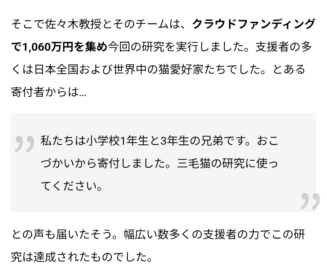 すべてがかわいすぎる。