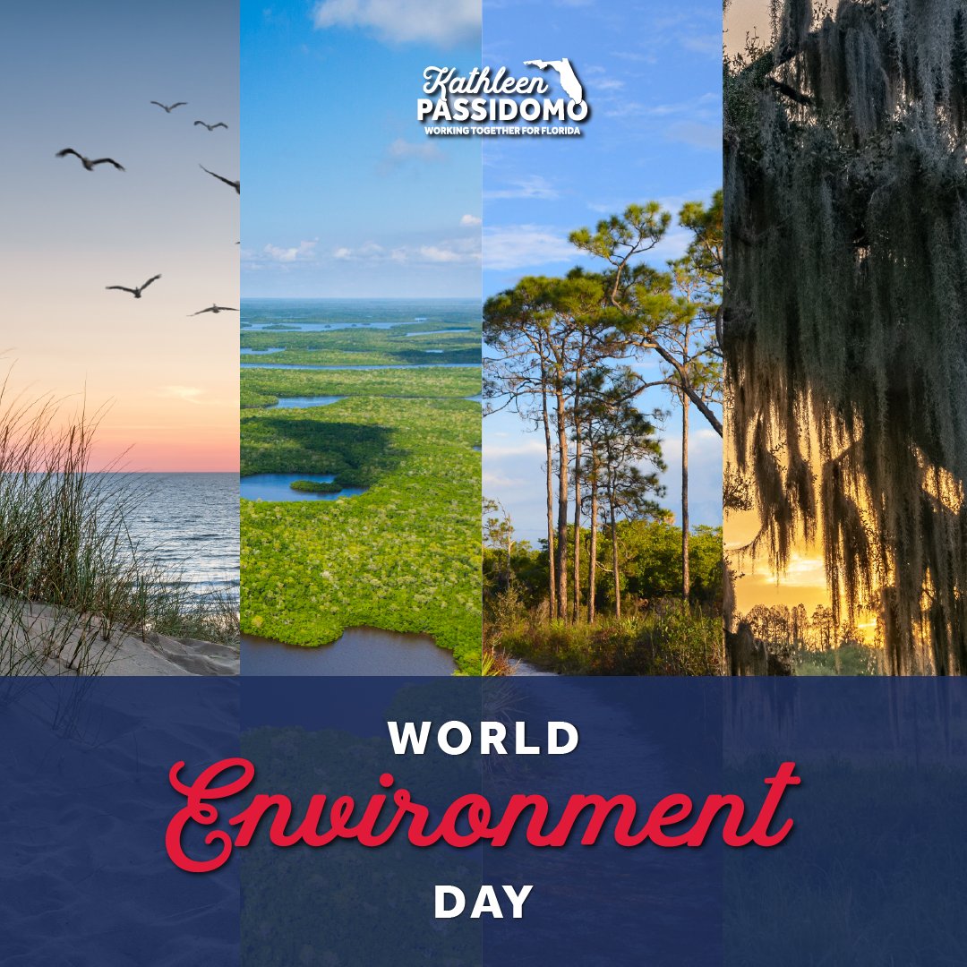 Happy World Environment Day!  

Today we celebrate all our state has to offer, from the Florida Wildlife Corridor to our sandy beaches, there is so much natural beauty here in the Sunshine State.