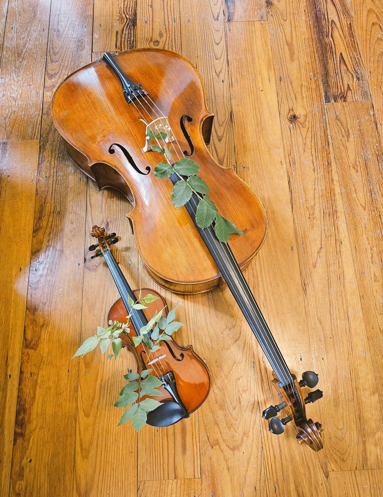 Nick Roth (@kaiameye) on Twitter photo Research for #Ailanthus - new duo for Darragh Morgan and Tim Gill 🌿 Research for #Ailanthus - new duo for Darragh Morgan and Tim Gill 🌿