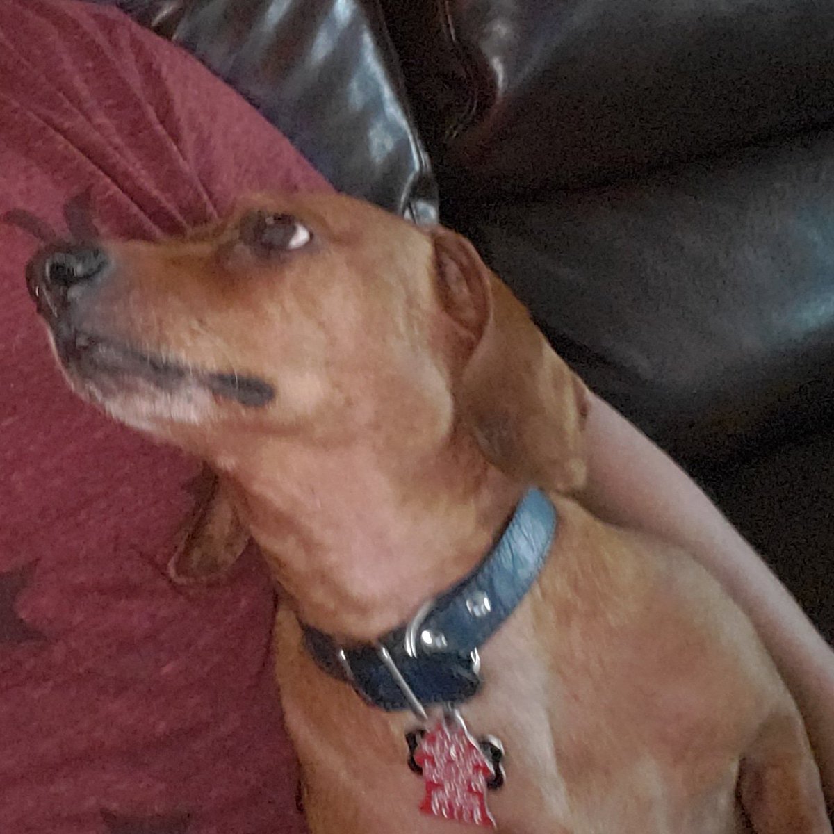 If I ever find a woman who looks at me like this, I will never be lonely