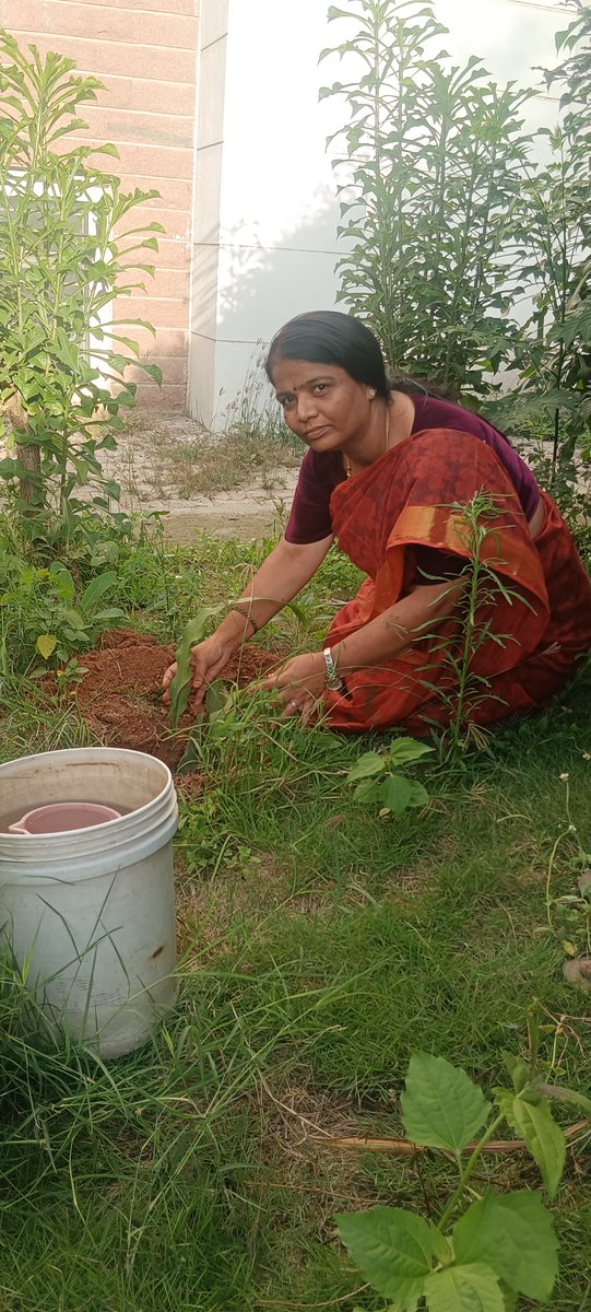 KSLInstitute's tweet photo. World Environment Day 2025 observed at Karnataka State Labour Institute, Bengaluru with Labour Officer Sujatha, KSLI Staff Raju Kamble, Siddaraju.S, Puneeth BL, Rangappa &amp; Nagaraj .... https://t.co/j4Fl2NyZ4L
