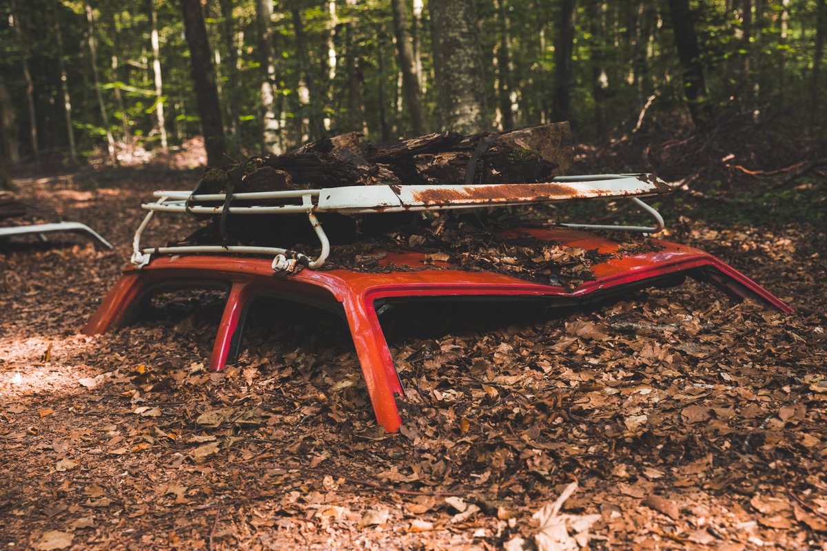 Franz-Renan Joly フルジ写真 tweet media