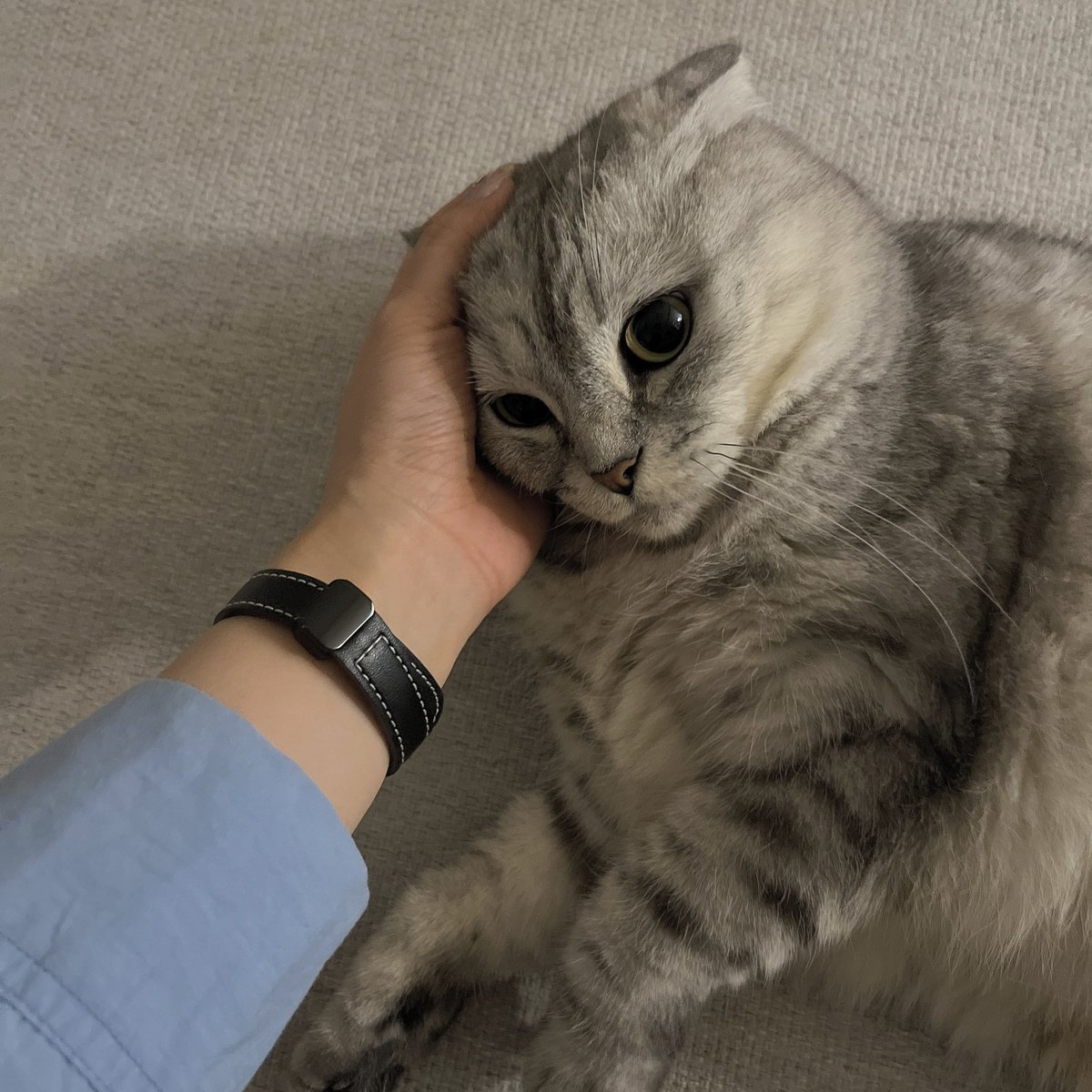 eastnorthmom's tweet photo. 엄마퇴근
어리광시작 https://t.co/Zdh5mCfqMN