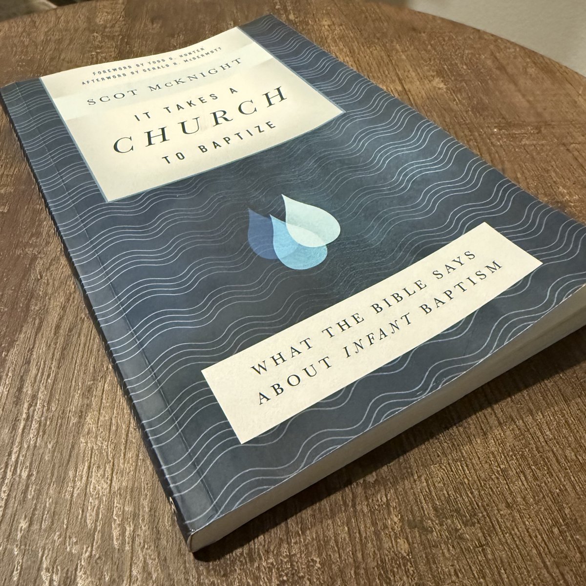 Matt O'Reilly (@mporeilly) on Twitter photo Just finished <a href="/scotmcknight/">Scot McKnight</a>'s short book on "what the Bible says about infant baptism."
The book details McKnight's own journey from a believer's baptism view to his embrace of infant baptism as the practice most consistent with biblical theology.
His handling of the Just finished <a href="/scotmcknight/">Scot McKnight</a>'s short book on "what the Bible says about infant baptism."
The book details McKnight's own journey from a believer's baptism view to his embrace of infant baptism as the practice most consistent with biblical theology.
His handling of the