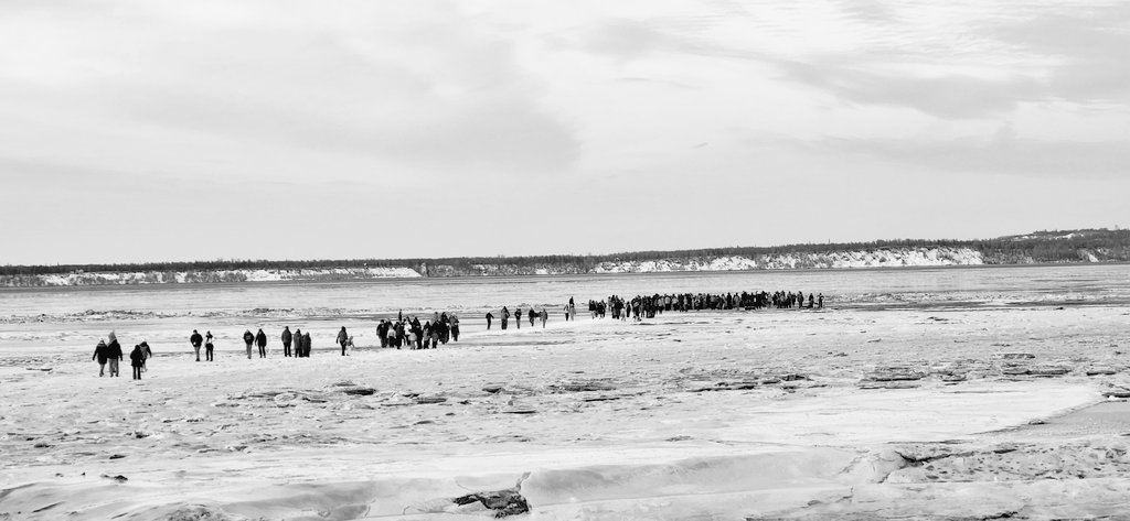 JayRockFurler's tweet photo. Great Spenard Cold Rush of 2024
Day 2
This was when our thousands of locals from nearby village of Spenardica went out from the wagons to trek the brutal .25 mile trail.
Many Alaskans were badly underdressed, &amp; slipping on ice
Only 2 people were taken away by the Coyotes. not bad https://t.co/b0XNT3JWnZ
