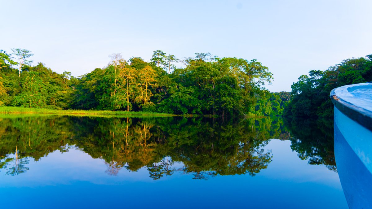🌍 En cette Journée Mondiale de l’Environnement 2025, nous célébrons la relance durable de la pêche au Lac Azingo 🇬🇦. Grâce à des pratiques respectueuses de l’environnement, les c. locales protègent la biodiversité et renforcent la sécurité alimentaire.

↪️go.undp.org/Unp