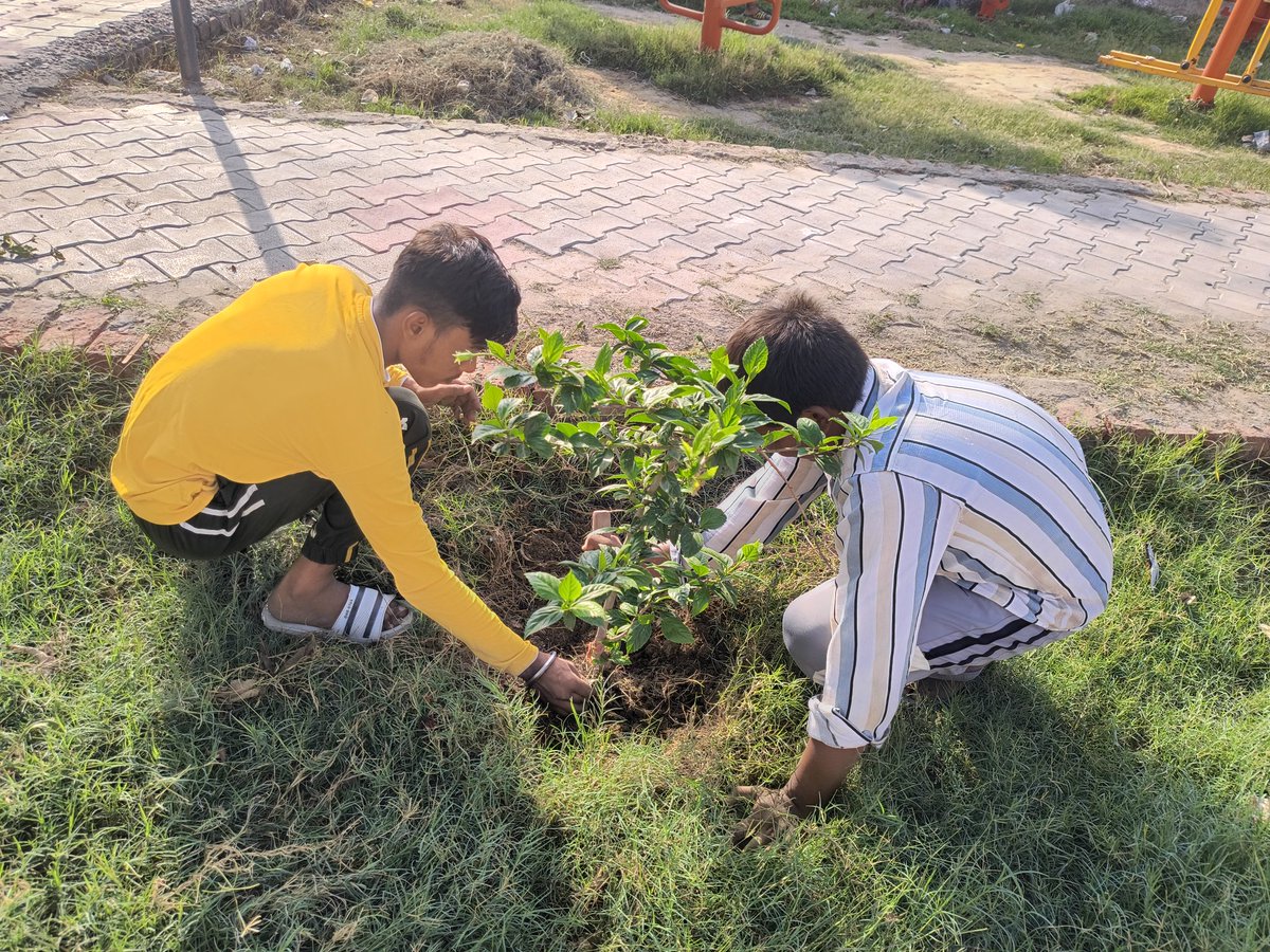 Gauravtoomaula's tweet photo. पेड़ो की नराई, गुडाई,छटाई करके व पानी देकर पर्यावरण मित्र बनकर धरती को हरा भरा बनाने का संकल्प लिया।
मिशन हर घर शिक्षा
निःशुल्क शिक्षा लाइब्रेरी तूमौला
#EnvironmentDay2025
#safetree @dmmathura7512 @mathurapolice @UPGovt @ArchanaUpadhy @UPASANA98UPPCS @uppanchayatiraj https://t.co/CT8JHvU5RJ