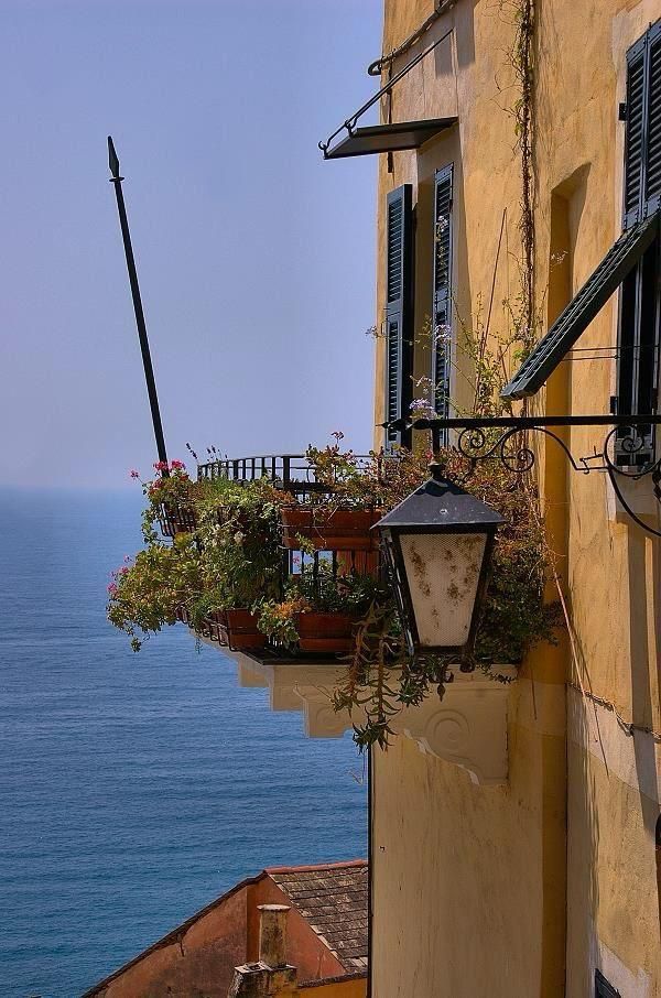 MozartCultures's tweet photo. cinque terre vibes https://t.co/FfwXOe90mh