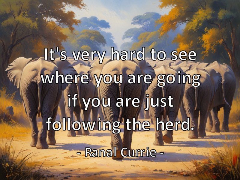 It's very hard to see where you are going if you are just following the herd.

#quote #quotesmith55 #following #perspective #ThursdayThoughts