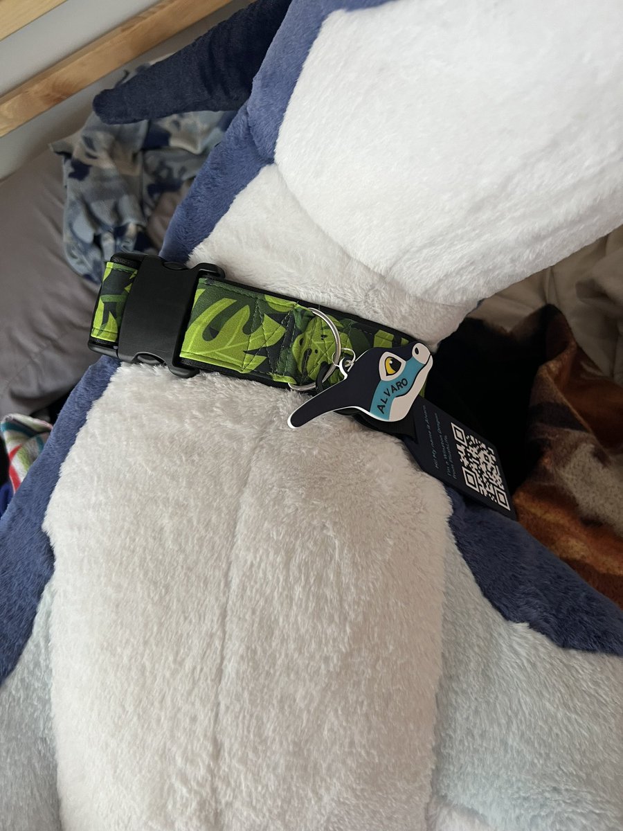 🐾🌴A Creative Derg 🌴🐾 🔜 FWA (@typuptyler) on Twitter photo Thank you for this awesome collar <a href="/tail_ends/">Tail Ends 🩲 Sewing Disk Horse</a> ! The colors look great with my blue dragon! 💚🌿 Thank you for this awesome collar <a href="/tail_ends/">Tail Ends 🩲 Sewing Disk Horse</a> ! The colors look great with my blue dragon! 💚🌿