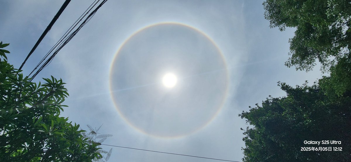 早上學校裏拍的日暈