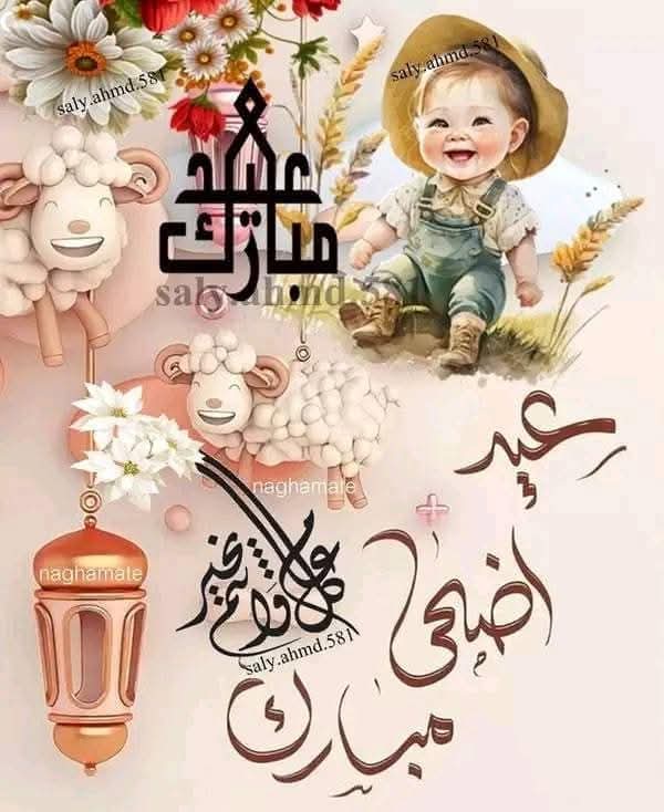 ابو احمد (@nar1790) on Twitter photo #مجموعة_عبدو_للدعم
#دعم_ابو_احمد
<a href="/9OOOY/">سموالفخامۿ</a>
<a href="/V13lula/">Karen Lúcia♀️🚩🌵</a>
<a href="/Ha_ze_l_1/">𝐇𝐚𝐙𝐞𝐥 ❀֟፝֟፝͜͜͡͡͡💕 ⃝ 𝆺𝅥⃝</a>
<a href="/zahratalr1/">زهرةالربيع🇶🇦</a>
<a href="/sabina78621/">𝕏𝕊𝕒𝕓𝕚𝕟𝕒𝔸𝕟𝕛𝕦𝕞 𝕏</a>
<a href="/Sophia56891/">Sophia</a>
<a href="/AndraCastilho3/">Andrada & Camelo....Farma BR/USA</a>
<a href="/1Reett/">𝒜ℬ𝒟𝒪</a>
<a href="/1qqmr/">𝓦𝓐𝓐𝓓</a>
<a href="/8ot2_/">¡ 𝐚𝗵𝐌𝐚𝚍 🇯🇴</a>
<a href="/nar1790/">ابو احمد</a>
<a href="/12ZZZ22/">دختور🔥🔥</a>
<a href="/md1_22/">احمد</a>
<a href="/vvccml/">ﺣواء</a>
@sxi415
<a href="/b_z_zl/">ابومحمد🇾🇪🇵🇸(مقيدلاتلغي)</a>
<a href="/145i1/">☼︎ᵃˡⁱ عَـیْنَمّْ</a>
<a href="/_ijj7/">حَــــــلاَ♪َ❀</a>
<a href="/kian7530/"> kian</a>
<a href="/N_IraQ50/">نور العراق</a>
<a href="/noof291_u/">نوف العنزي 🖤.</a>
<a href="/NNjjoo447/">نور من السماء 🕳️</a>
<a href="/byrm38196/">القبطان 👮</a>
<a href="/ana_a31000/">زهرة اللوتس 💍❤❤</a>
<a href="/maha8321553/">🌸maha🌸</a> #مجموعة_عبدو_للدعم
#دعم_ابو_احمد
<a href="/9OOOY/">سموالفخامۿ</a>
<a href="/V13lula/">Karen Lúcia♀️🚩🌵</a>
<a href="/Ha_ze_l_1/">𝐇𝐚𝐙𝐞𝐥 ❀֟፝֟፝͜͜͡͡͡💕 ⃝ 𝆺𝅥⃝</a>
<a href="/zahratalr1/">زهرةالربيع🇶🇦</a>
<a href="/sabina78621/">𝕏𝕊𝕒𝕓𝕚𝕟𝕒𝔸𝕟𝕛𝕦𝕞 𝕏</a>
<a href="/Sophia56891/">Sophia</a>
<a href="/AndraCastilho3/">Andrada & Camelo....Farma BR/USA</a>
<a href="/1Reett/">𝒜ℬ𝒟𝒪</a>
<a href="/1qqmr/">𝓦𝓐𝓐𝓓</a>
<a href="/8ot2_/">¡ 𝐚𝗵𝐌𝐚𝚍 🇯🇴</a>
<a href="/nar1790/">ابو احمد</a>
<a href="/12ZZZ22/">دختور🔥🔥</a>
<a href="/md1_22/">احمد</a>
<a href="/vvccml/">ﺣواء</a>
@sxi415
<a href="/b_z_zl/">ابومحمد🇾🇪🇵🇸(مقيدلاتلغي)</a>
<a href="/145i1/">☼︎ᵃˡⁱ عَـیْنَمّْ</a>
<a href="/_ijj7/">حَــــــلاَ♪َ❀</a>
<a href="/kian7530/"> kian</a>
<a href="/N_IraQ50/">نور العراق</a>
<a href="/noof291_u/">نوف العنزي 🖤.</a>
<a href="/NNjjoo447/">نور من السماء 🕳️</a>
<a href="/byrm38196/">القبطان 👮</a>
<a href="/ana_a31000/">زهرة اللوتس 💍❤❤</a>
<a href="/maha8321553/">🌸maha🌸</a>