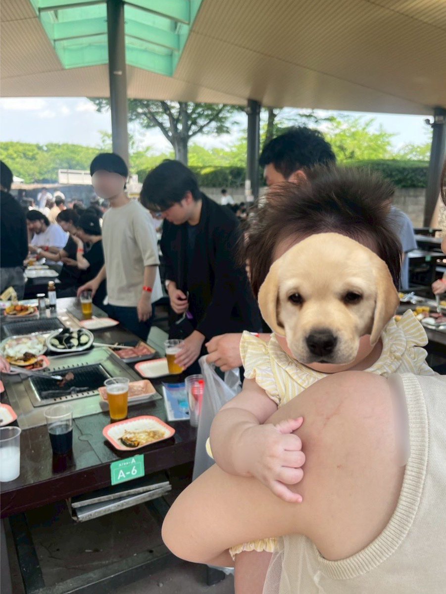 ᐠ( ᐢ ᵕ ᐢ )ᐟ 🥚 tweet media