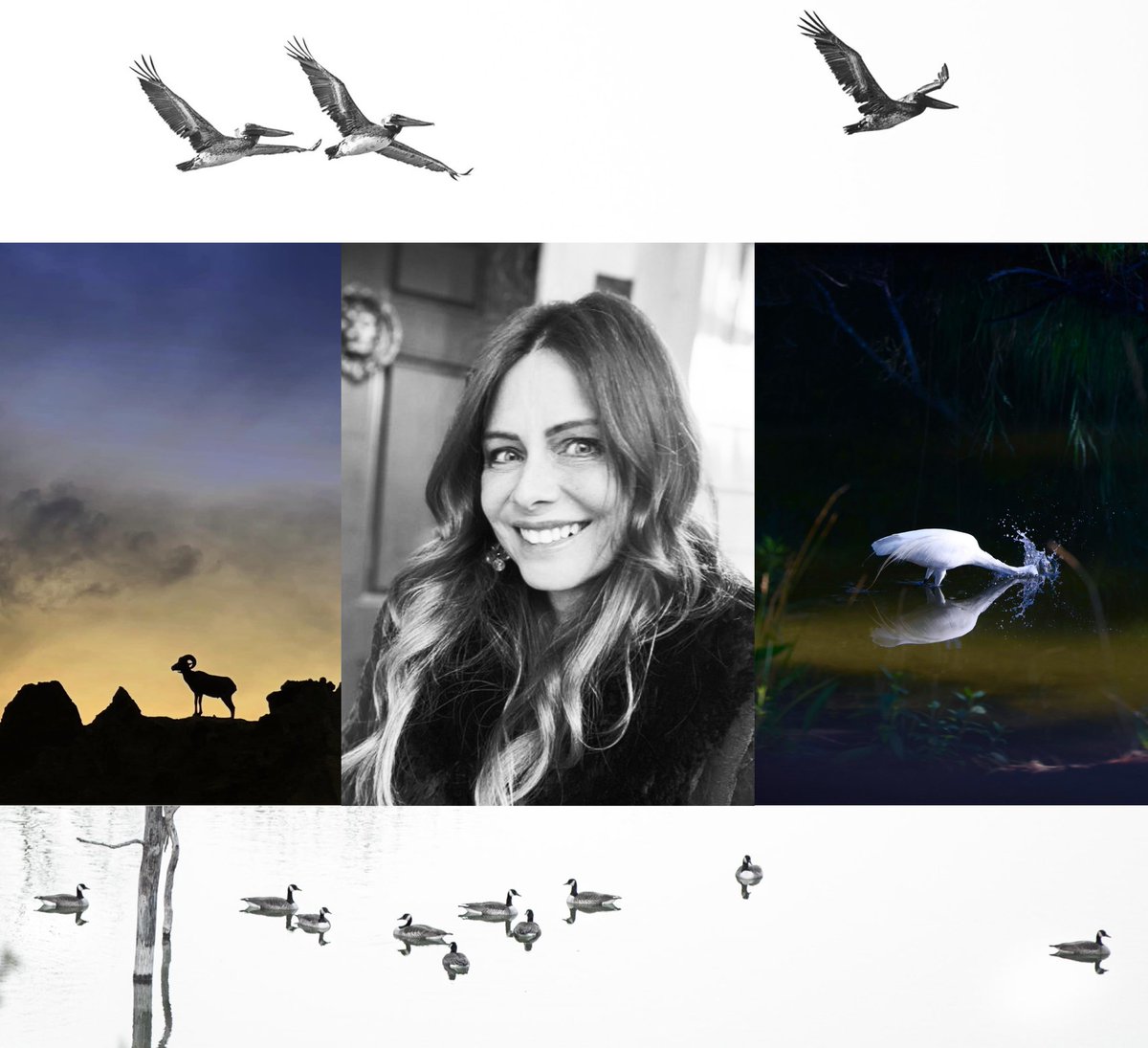 THEVIVACARTA's tweet image. I can&apos;t do this anymore. 
Not alone. 
We have reached a new chapter in our development -  This new chapter of expansion Has reached the point at which we have a very good problem:
 We need help managing and ideating the many moving parts of the multifaceted ecosystem we&apos;re…