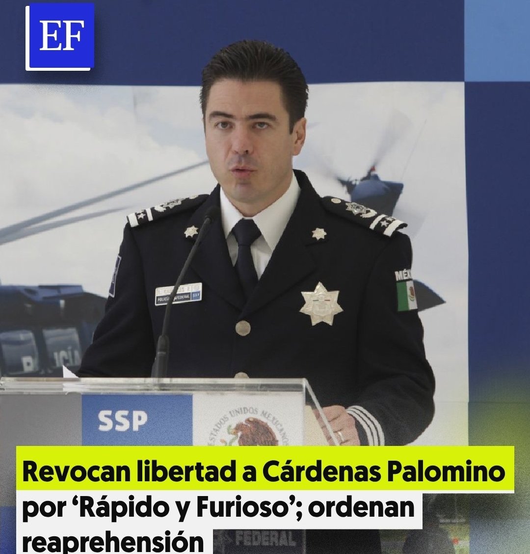 La Catrina Norteña (@catrina_nortena) on Twitter photo #ULTIMAHORA
🚨 TIEMBLA <a href="/FelipeCalderon/">Felipe Calderón 🇲🇽🇺🇦</a>
Un juez ordena la reprehensión de Cárdenas Palomino por Rápido y Furioso. Ya cayó García Luna y ahora caerá nuevamente el que le hacía el trabajo sucio a GGL y a Calderón.
Ya se siente el poder del Nuevo Poder Judicial del Pueblo... #ULTIMAHORA
🚨 TIEMBLA <a href="/FelipeCalderon/">Felipe Calderón 🇲🇽🇺🇦</a>
Un juez ordena la reprehensión de Cárdenas Palomino por Rápido y Furioso. Ya cayó García Luna y ahora caerá nuevamente el que le hacía el trabajo sucio a GGL y a Calderón.
Ya se siente el poder del Nuevo Poder Judicial del Pueblo...