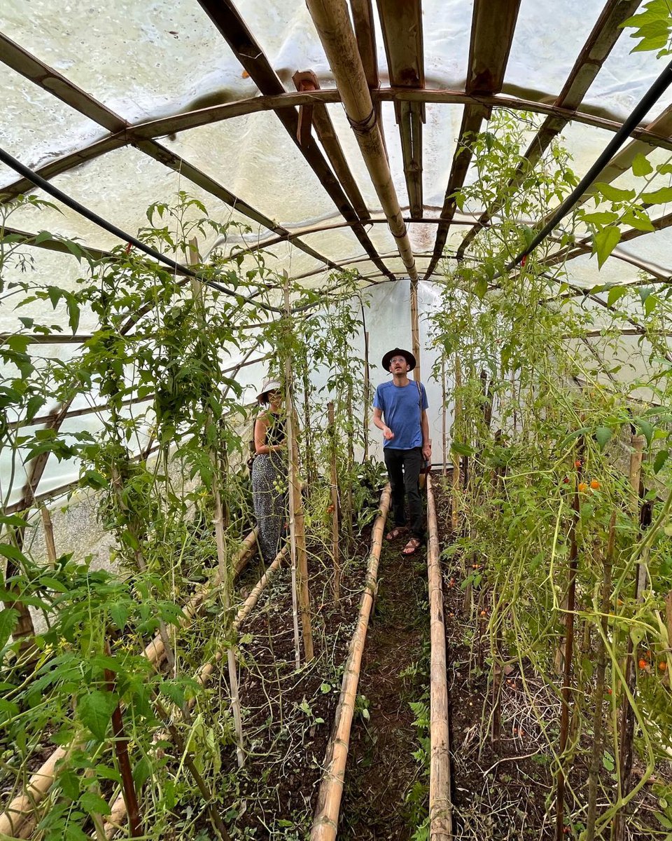 What happens with the funds you purchase your Stewardship NFT with? Where does the money actually go?

Every Stewardship NFT purchase becomes a strategic contribution across four pillars:

🛡️ PROTECT: Purchase and permanently safeguard lands under the INHABIT's groundbreaking