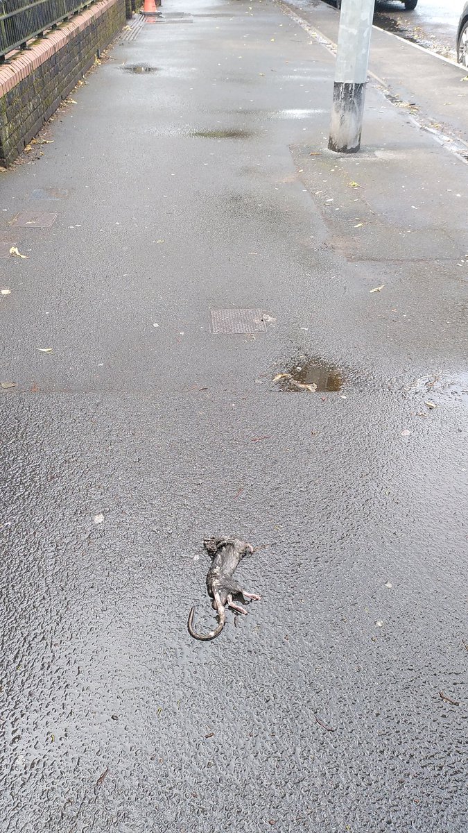 Keep Riverside Tidy tweet media