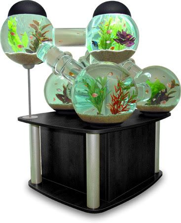 heartmorgue's tweet image. Octopus Studios Modular Fish Tank (Silverfish Aquarium)
