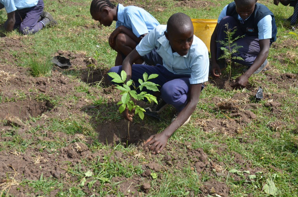 World Environment Day 2025 celebration today at Ramula School in Ombeyi ward,Kisumu County. 
we extend our heartfelt appreciation to our partners for the support 
<a href="/KCCWG/">The Kenya Climate Change Working Group</a> 
<a href="/AWF_Official/">AWF</a> 
<a href="/kefeado/">KEFEADO</a> 
#BeatPlasticPollution 
#WorldEnvironmentDay2025 
#CLEIIN