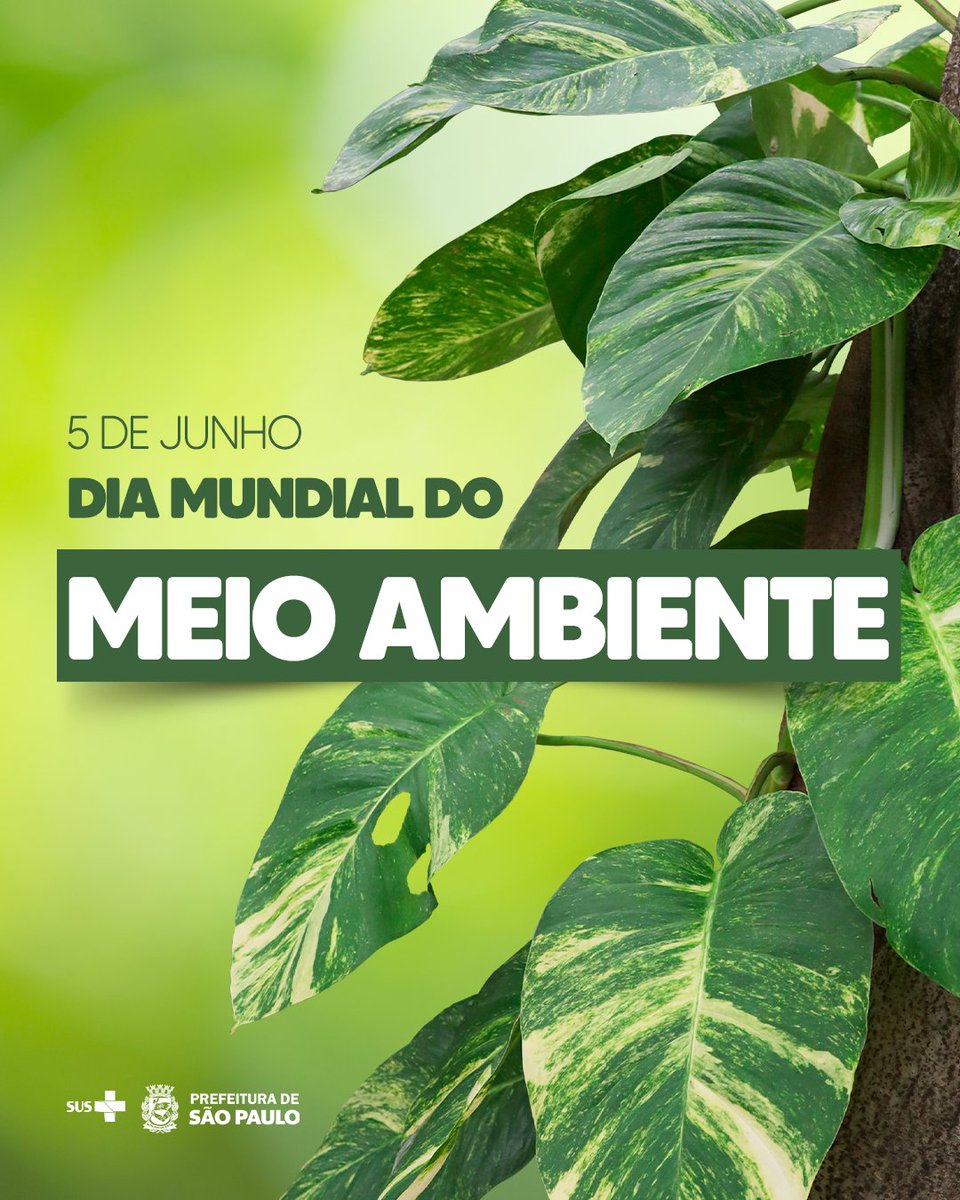 saudeprefsp's tweet image. 🌍 Hoje é o #DiaMundialDoMeioAmbiente!

Em SP, a Dvisam protege a saúde contra contaminantes em água, solo e ar. 

Já o PAVS promove hortas, plantio e ações sustentáveis nas UBSs, reforçando a resiliência da cidade às mudanças climáticas. 🌱💚

#SaudePrefSP #SUS…