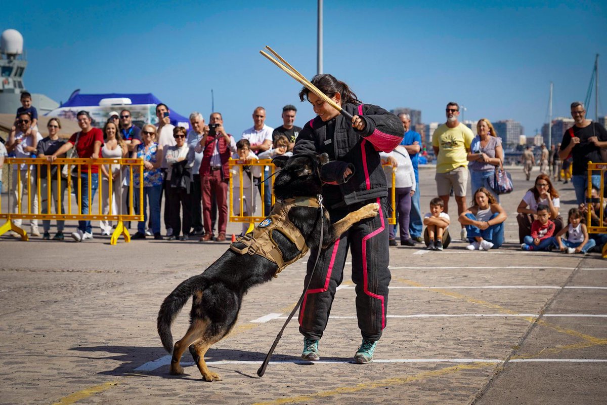 Mando de Canarias (@mcana_et) on Twitter photo Durante esta semana, nuestras unidades de la #BRICANXVI realizan exhibiciones en la exposición del #DIFAS25 en la 📍Base Naval y Arsenal de Las Palmas. Ven a conocer de cerca su labor, equipo y compromiso con España 📣 ¡Te esperamos! 📣<a href="/MCANA_ET/">Mando de Canarias</a>
<a href="/EjercitoTierra/">Ejército de Tierra 🇪🇸</a> 🇪🇦 Durante esta semana, nuestras unidades de la #BRICANXVI realizan exhibiciones en la exposición del #DIFAS25 en la 📍Base Naval y Arsenal de Las Palmas. Ven a conocer de cerca su labor, equipo y compromiso con España 📣 ¡Te esperamos! 📣<a href="/MCANA_ET/">Mando de Canarias</a>
<a href="/EjercitoTierra/">Ejército de Tierra 🇪🇸</a> 🇪🇦