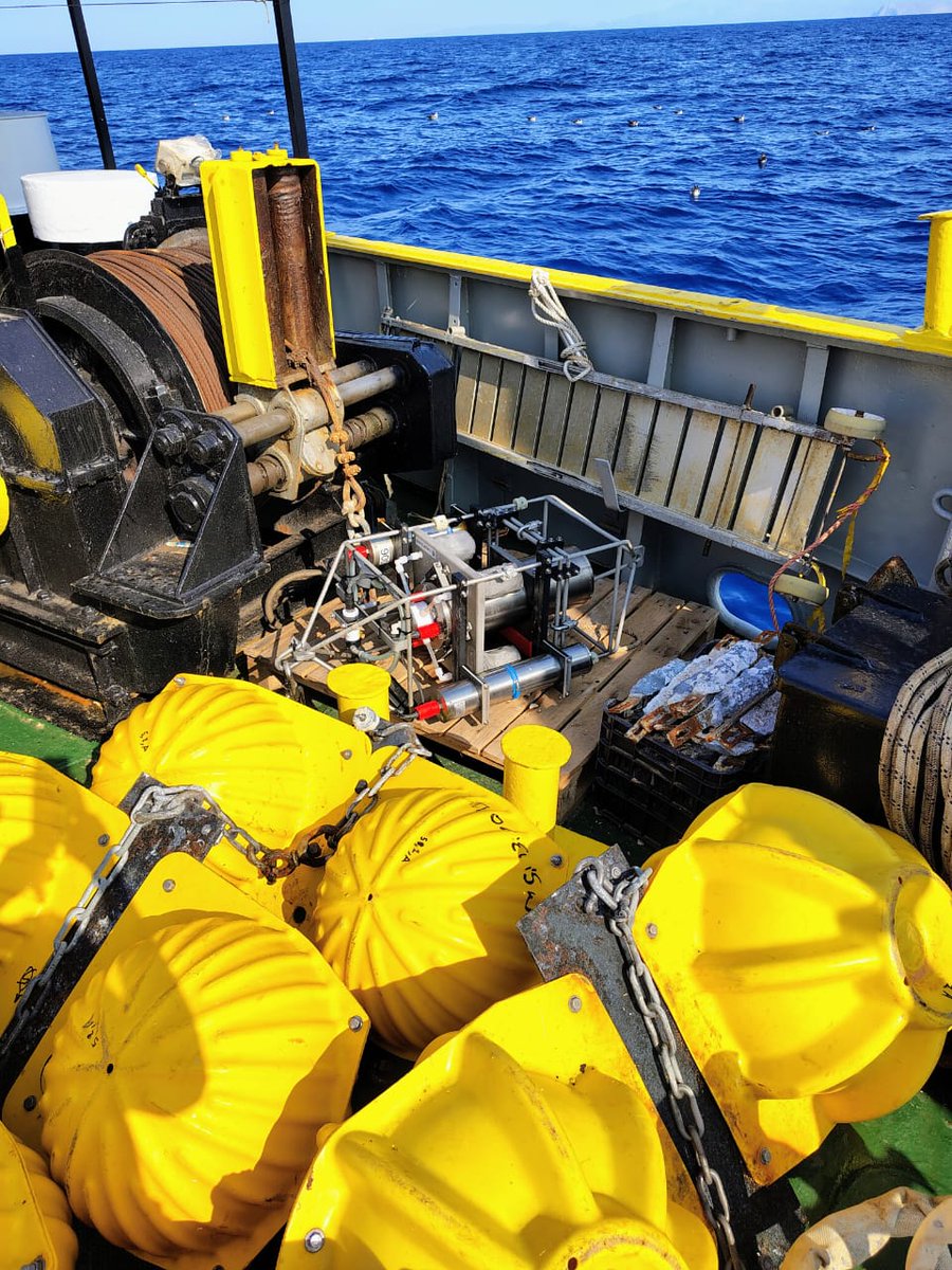 NAUTILOS (@nautilos_h2020) on Twitter photo Another success under #NAUTILOS!
🚢 The SuNaMips sampler by <a href="/SubCtech_GmbH/">SubCtech GmbH</a> was deployed by @HCMR_Hellenic in Jan 2025.
🌊 After 5 months at 400m depth in the Mediterranean, it was successfully recovered!
🔗 Explore all sensors: lnkd.in/ev32sbJH
#Microplastics #BlueTech Another success under #NAUTILOS!
🚢 The SuNaMips sampler by <a href="/SubCtech_GmbH/">SubCtech GmbH</a> was deployed by @HCMR_Hellenic in Jan 2025.
🌊 After 5 months at 400m depth in the Mediterranean, it was successfully recovered!
🔗 Explore all sensors: lnkd.in/ev32sbJH
#Microplastics #BlueTech