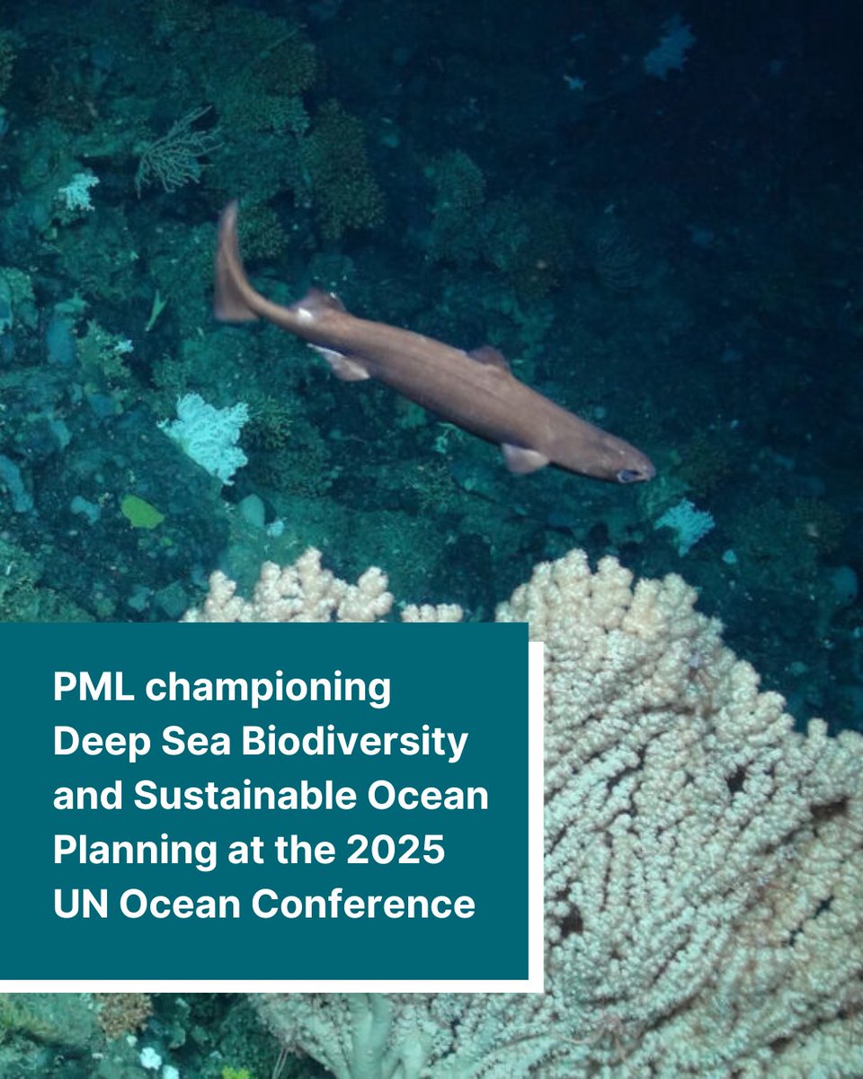 Plymouth Marine Lab tweet media