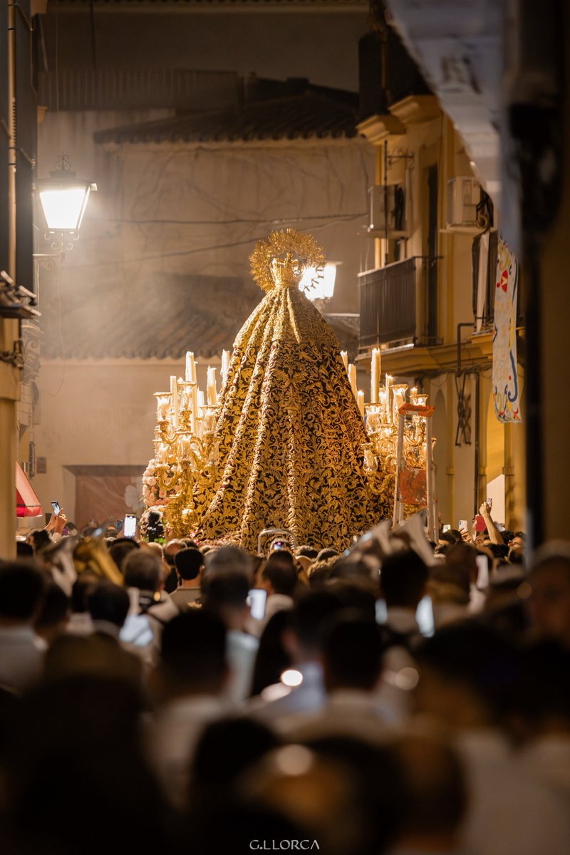 La última noche de mayo.

<a href="/Hdad_Amargura/">Hermandad de la Amargura</a> #300SJPalma