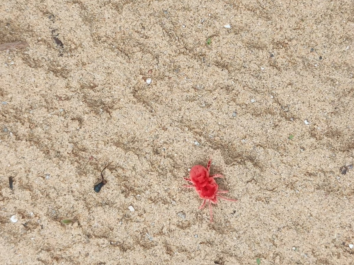 इसे आप क्या नाम देना चाहेंगे? 
बहुत दिनों बाद दिखाई दिया। 
#NaturePhotography