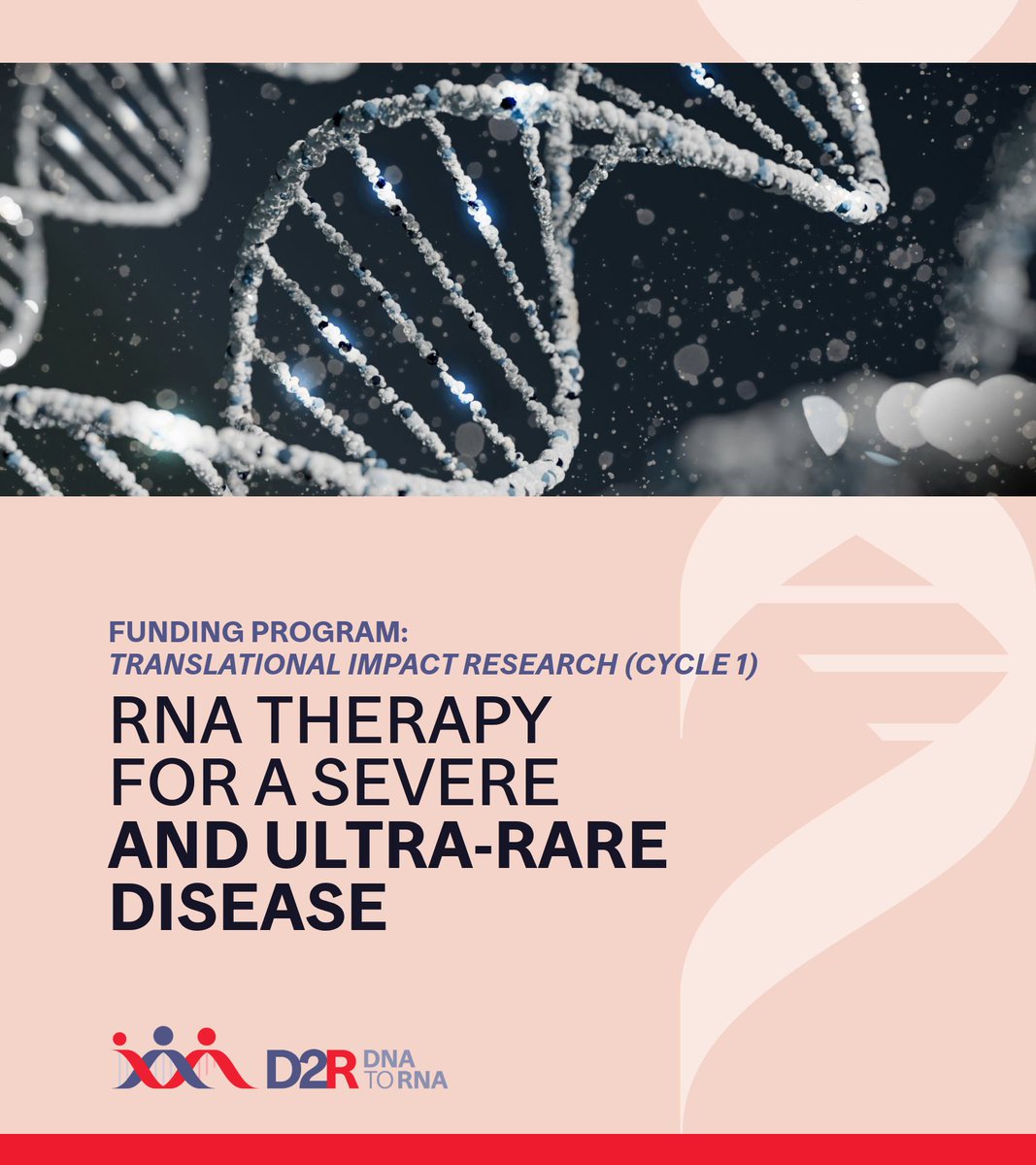 D2R | DNA to RNA (@d2rmcgill) on Twitter photo 🔊#D2RProjectSpotlight: RNA therapy for Schinzel-Giedion Syndrome (SGS)
🧬Led by Carl Ernst at <a href="/McGillU/">McGill University</a>, this project aims to develop RNA therapy for SGS, a rare genetic disease affecting the brain & lungs
🔗Learn more: buff.ly/b4ugUp8
#RareDisease #RNA
<a href="/McGill_VPRI/">McGill Research + Innovation</a> 🔊#D2RProjectSpotlight: RNA therapy for Schinzel-Giedion Syndrome (SGS)
🧬Led by Carl Ernst at <a href="/McGillU/">McGill University</a>, this project aims to develop RNA therapy for SGS, a rare genetic disease affecting the brain & lungs
🔗Learn more: buff.ly/b4ugUp8
#RareDisease #RNA
<a href="/McGill_VPRI/">McGill Research + Innovation</a>