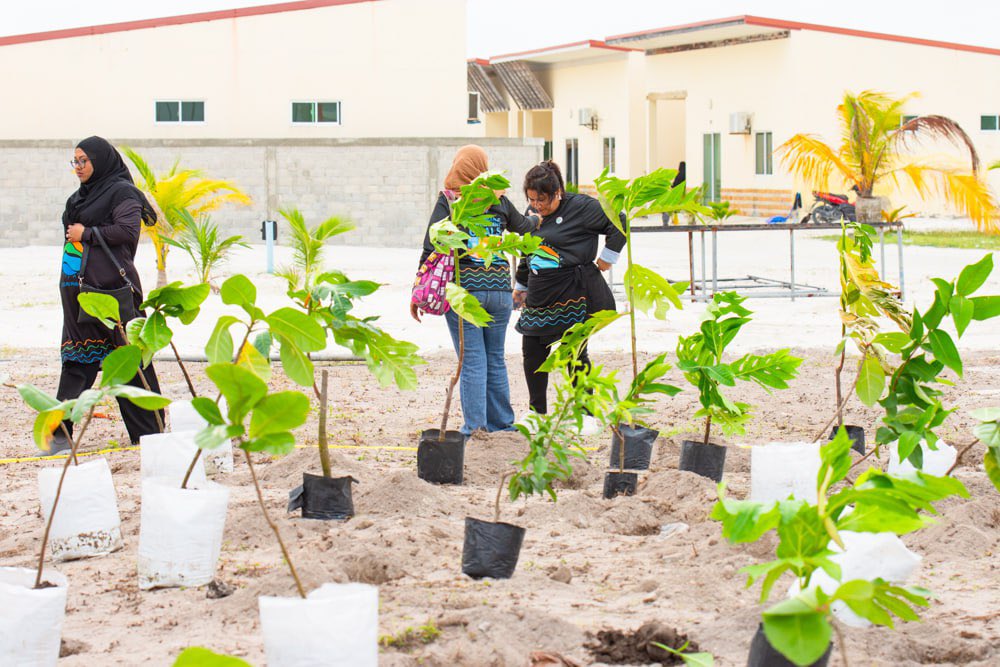 Getting the location ready for planting trees. ☘️☘️