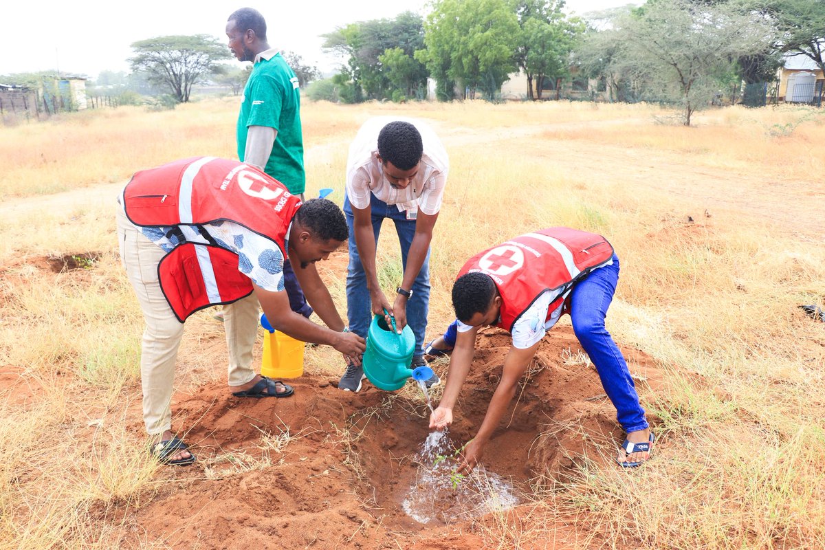 Today, I had the privilege of joining the celebrations for #WorldEnvironmentDay2025 at @NENAP.  During the event, we planted trees to promote environmental conservation and raise awareness about the importance of protecting our planet.