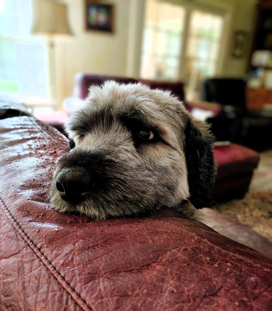 Theo-sophy tweet media