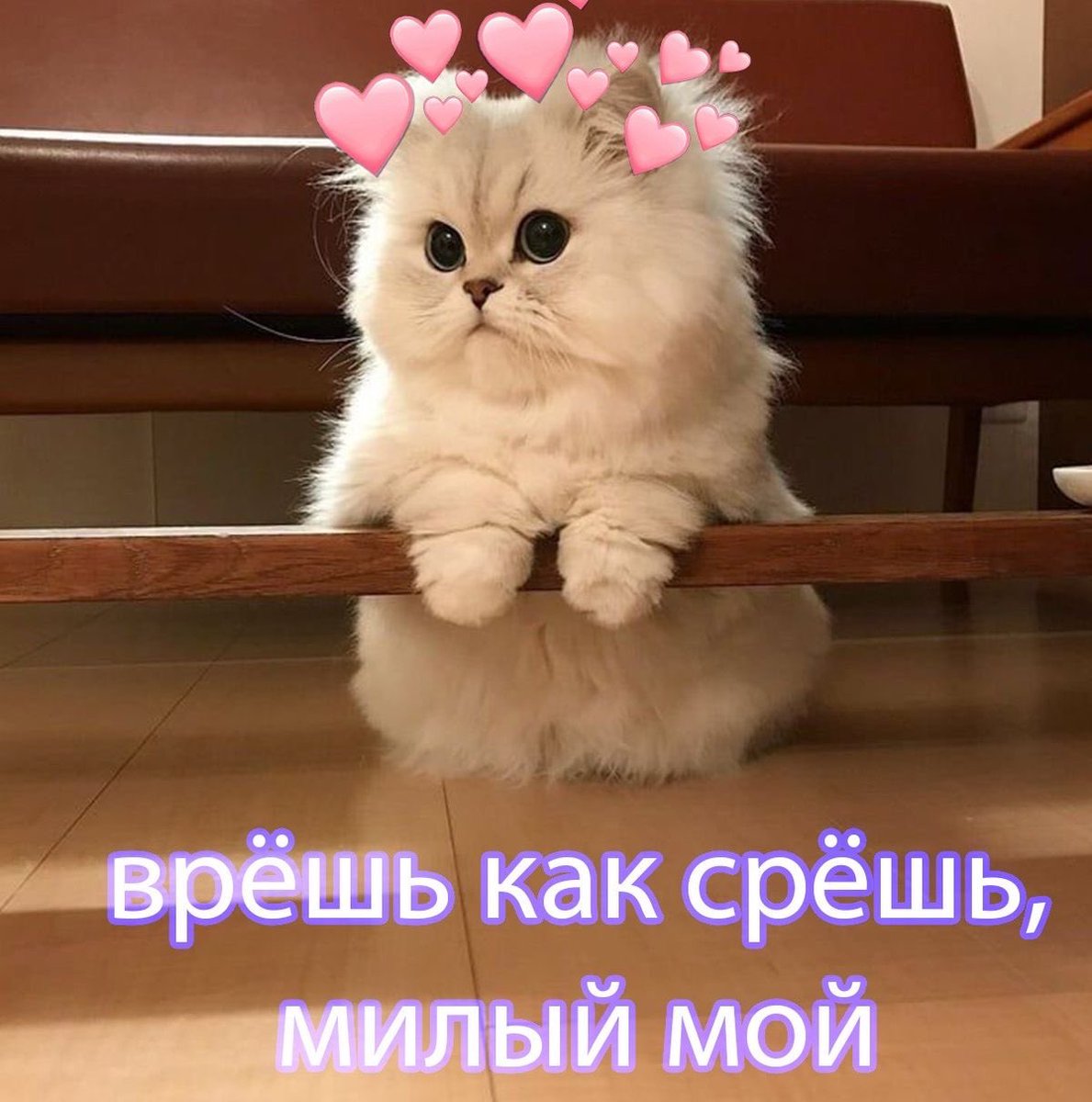 ya_diko_izvinyaus tweet media